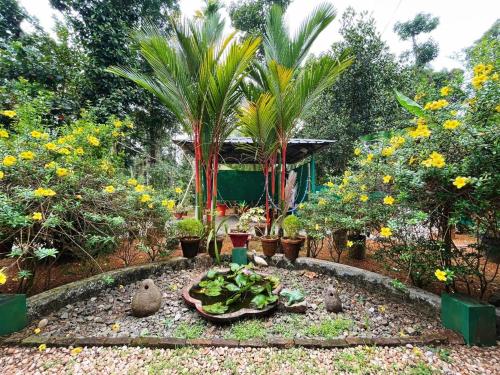 a garden with palm trees and plants in a yard at Kuttickattil Gardens Homestay in Kottayam