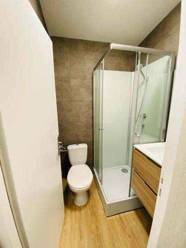 a bathroom with a toilet and a shower at Les studios de Morgane hyper centre in Valence