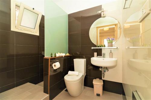 a bathroom with a toilet and a sink and a mirror at Vereniki Apartments in Finikounta