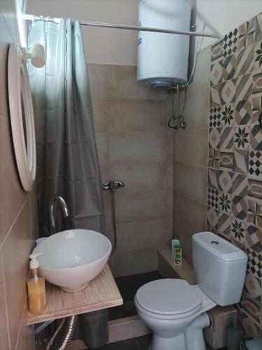 a bathroom with a toilet and a sink at Eirini's Apartment in Missolonghi