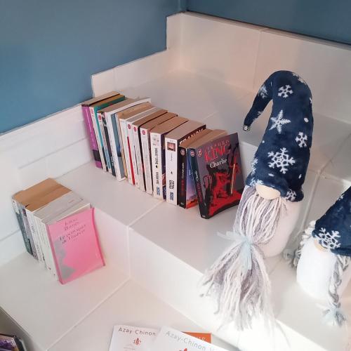 Biblioteca en la casa o chalet