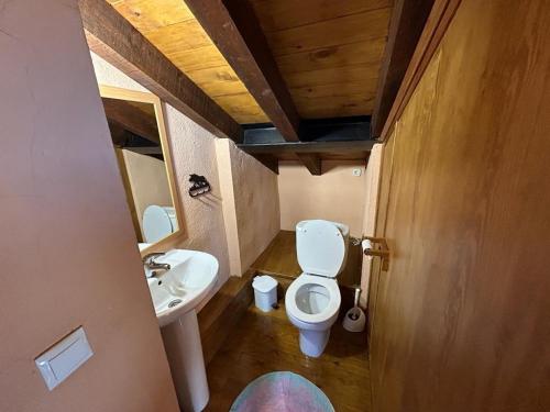 a small bathroom with a toilet and a sink at Casa Rural Naranja in El Tiemblo