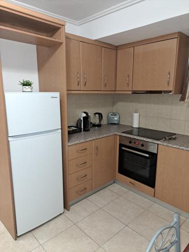a kitchen with a white refrigerator and wooden cabinets at C & D Karlovasi apartment in Karlovasi