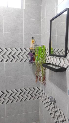 a bathroom with a mirror and a plant on a shelf at Aila Homestay Pendang in Pendang