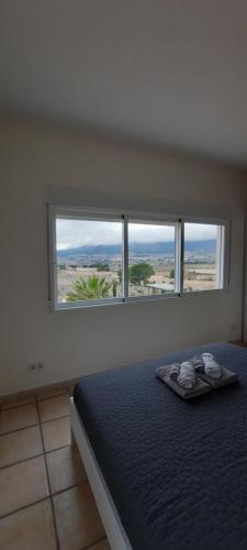 - une chambre avec un lit et 2 fenêtres dans l'établissement Finca la Sonrisa, à Salinas