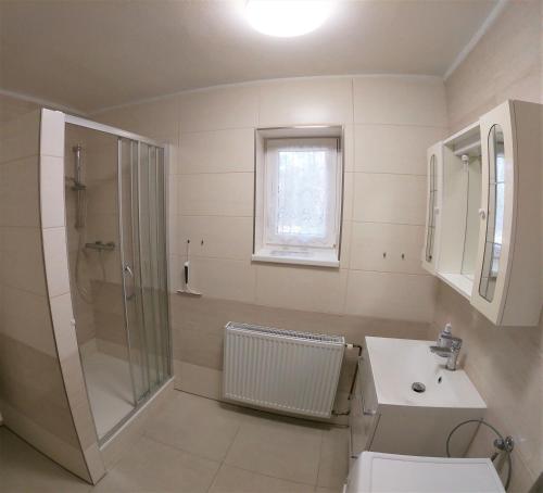 uma casa de banho com um chuveiro, um WC e um lavatório. em Apartmány Dívčice em Dívčice