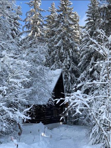 a cabin in the woods with snow covered trees at Chata pri Veľkej Rači in Oščadnica