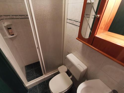 a small bathroom with a toilet and a mirror at Cosy Lake in Kranjska Gora