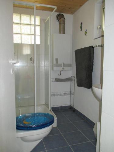 Ferienhaus La Torre في Camorino: حمام مع مرحاض مع دش زجاجي