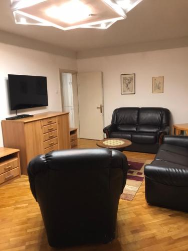 sala de estar con muebles de cuero negro y TV de pantalla plana en Bulevar NT Novi Beograd, Zemun, en Belgrado