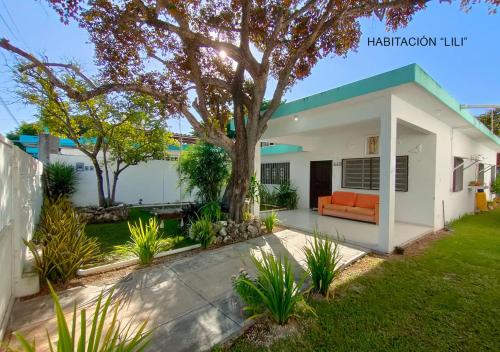 a house with a tree in the yard at Departamentos Ileana in Cozumel