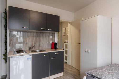 Η κουζίνα ή μικρή κουζίνα στο Apartments Cologne