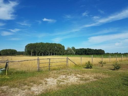 a fence in a field with trees in the background at Le Bonheur est dans le Pré. in Saint-Romain-sur-Cher