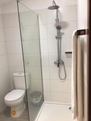 uma casa de banho com um WC e uma cabina de duche em vidro. em Casa Do Refugio na Covilhã