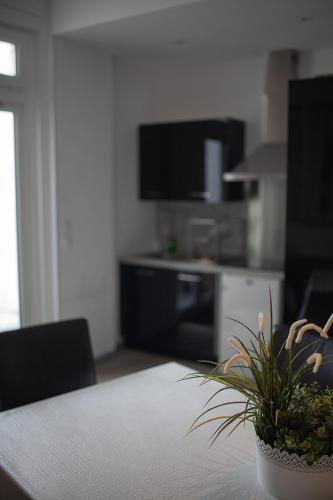 a living room with a table with a plant on it at Bienvenue Chez Nous in Bergues