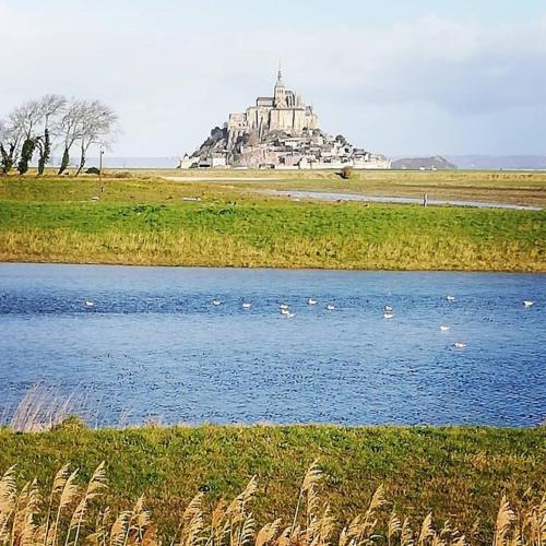 a large building in the middle of a river with ducks at Gites les 2 Clos au pied du Mont in Pontorson