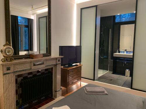 a living room with a television and a fireplace at Albert Molière in Brussels