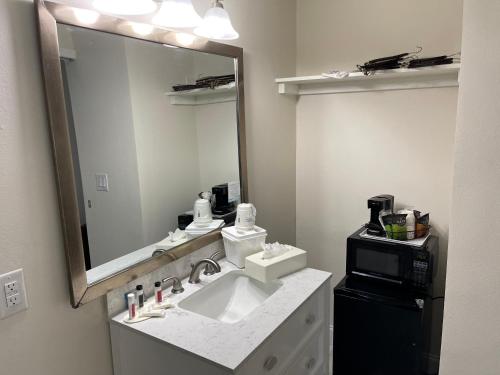 a bathroom with a sink and a mirror and a microwave at All-New, Ground-Floor, Huge Pool, Tiki Bar & Grill in Sarasota
