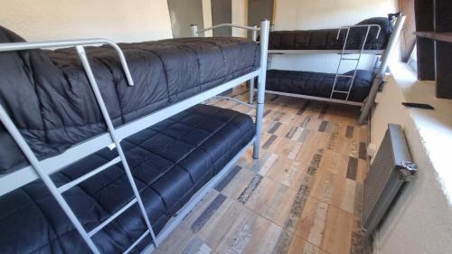 kilka łóżek piętrowych w pokoju w obiekcie Temiscira Hostel w mieście Bariloche