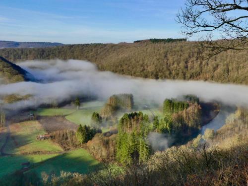 a foggy view of a golf course in the woods at Appart Hotel Au Pied de Vigne in Vresse-sur-Semois
