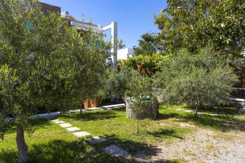 a garden with olive trees in front of a building at Horizon Line Villas in Kiotari