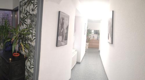 Fotografie z fotogalerie ubytování Les studios du frankenthal v destinaci Stosswihr