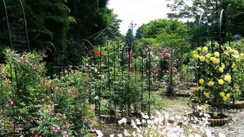 a garden filled with lots of different types of flowers at Sudomari no Yado Sunmore - Vacation STAY 46748v in Nikko