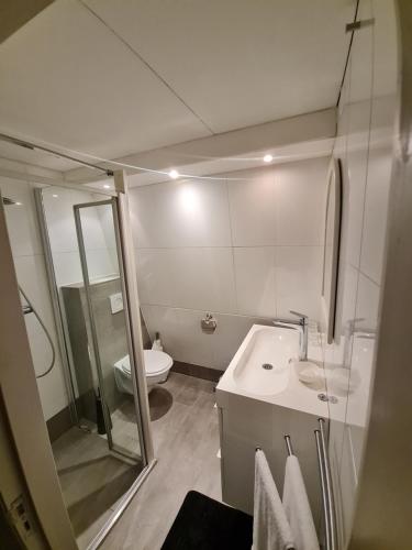 uma casa de banho com um chuveiro, um lavatório e um WC. em Klein Middelweg em Uitgeest