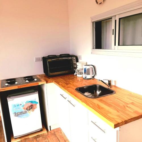 a small kitchen with a sink and a microwave at Las Golondrinas Container in Mar del Plata