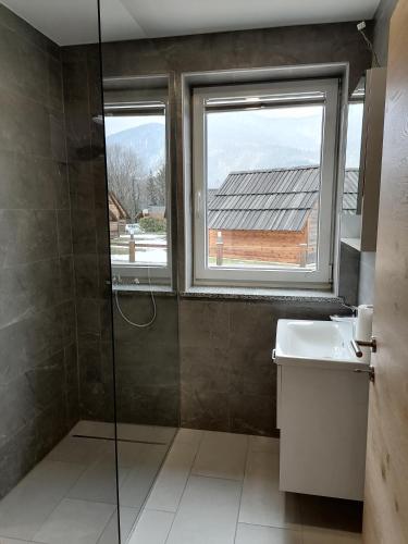a bathroom with a shower and a sink and a window at Small wooden houses and Apartments Zgornja Dobrava in Radovljica