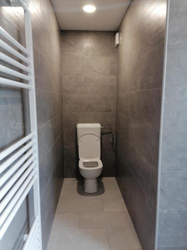 a bathroom with a white toilet in a stall at Small wooden houses and Apartments Zgornja Dobrava in Radovljica