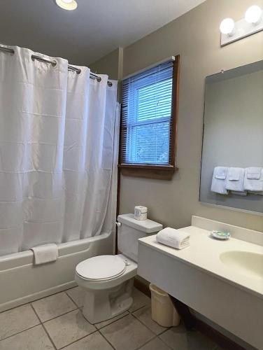 a bathroom with a toilet and a sink and a mirror at Pony Island Inn in Ocracoke
