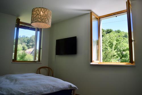 1 dormitorio con 2 ventanas, 1 cama y TV en Spacious apartment in old farm close to Lac de Vouglans en La Tour-du-Meix