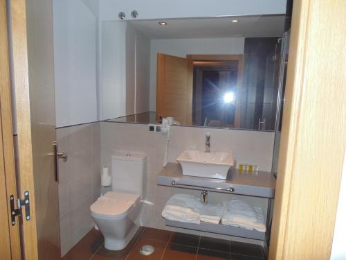 a bathroom with a toilet and a sink and a mirror at Hotel Ribera de Langa in Langa de Duero