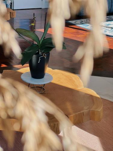Luna House & Cowork