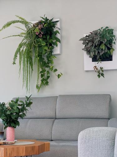 sala de estar con sofá y plantas en la pared en Luna House, en Cascais