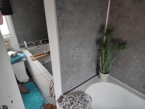 a bathroom with a tub with a plant in it at "Dew Drop Inn" in Port Seton