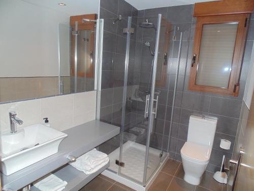 a bathroom with a shower and a toilet and a sink at Hotel Ribera de Langa in Langa de Duero