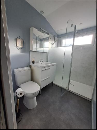 une salle de bain avec toilettes, douche et lavabo dans l'établissement Le Nid Colas cour au sud vélos a dispo, à Fécamp