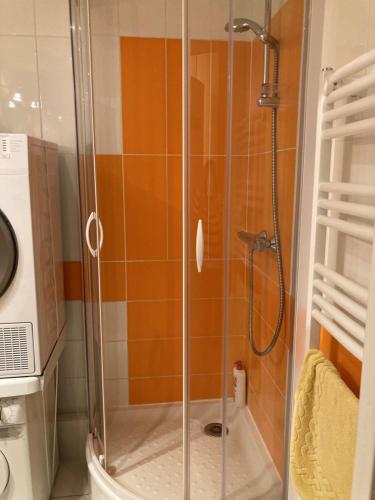 a shower with a glass door in a bathroom at Etoile dorée, vue mer, plage, clim, commerces, 3 étoiles in La Grande Motte