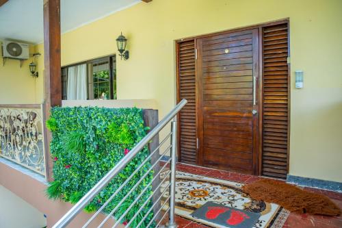 Φωτογραφία από το άλμπουμ του Green Park στο Beau Vallon