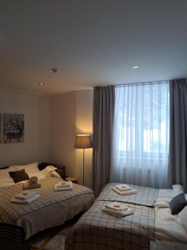 a hotel room with two beds and a window at Falling Star Apartman Brzece in Brzeće