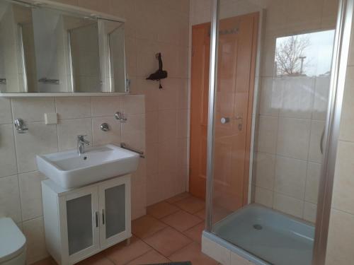 a bathroom with a sink and a shower at Ferienwohnung Ina in Michelau