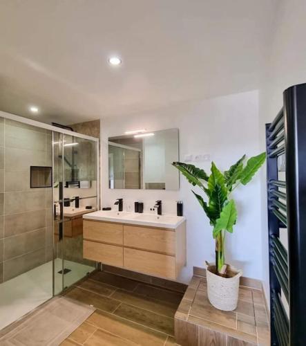 a bathroom with a sink and a mirror and a plant at L'ÉCHAPPÉE BRETONNE in Plouider