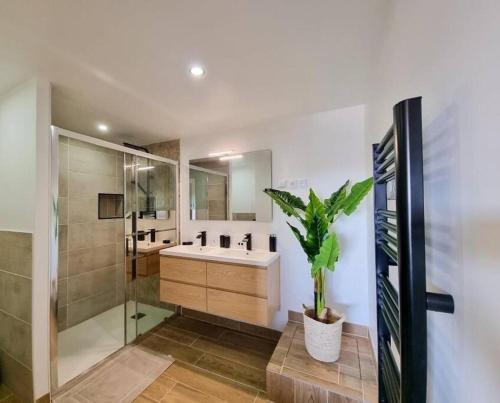 a bathroom with a sink and a shower and a potted plant at L'ÉCHAPPÉE BRETONNE in Plouider