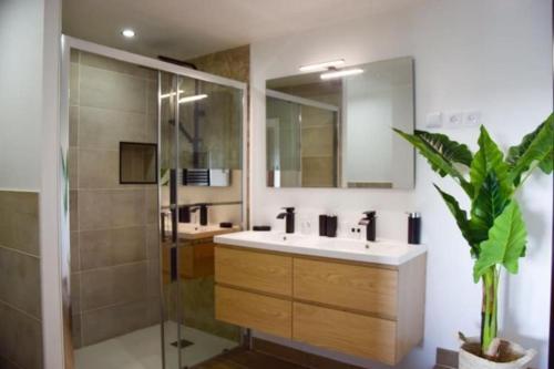 a bathroom with two sinks and a shower and a potted plant at L'ÉCHAPPÉE BRETONNE in Plouider