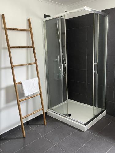 a glass shower with a ladder in a bathroom at Cozy Green Apartment in Sintra