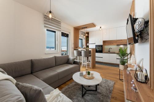 Η κουζίνα ή μικρή κουζίνα στο Borov jezic