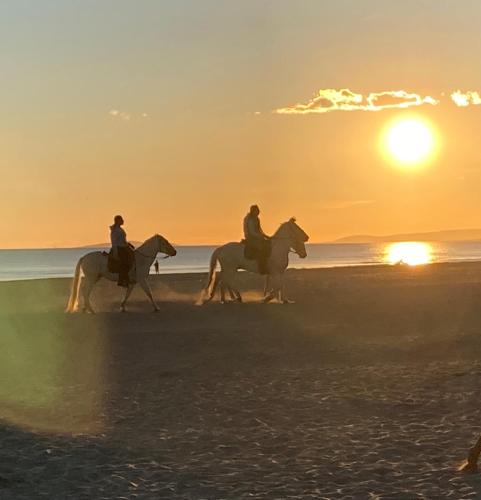 Etoile dorée, vue mer, plage, clim, commerces, 3 étoiles