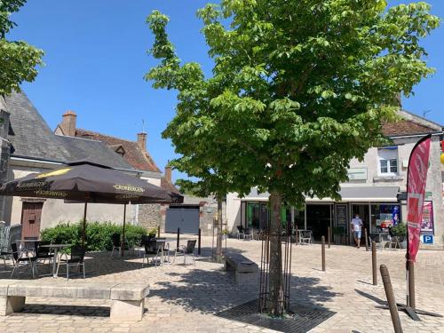 a tree and chairs and umbrellas on a street at La petite Chambord aux portes du château in Mont-près-Chambord